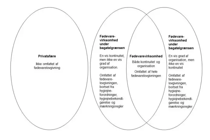 Illustration, der viser gr&aelig;nsen for privatsf&aelig;re og f&oslash;devarevirksomhed under bagatelgr&aelig;nsen