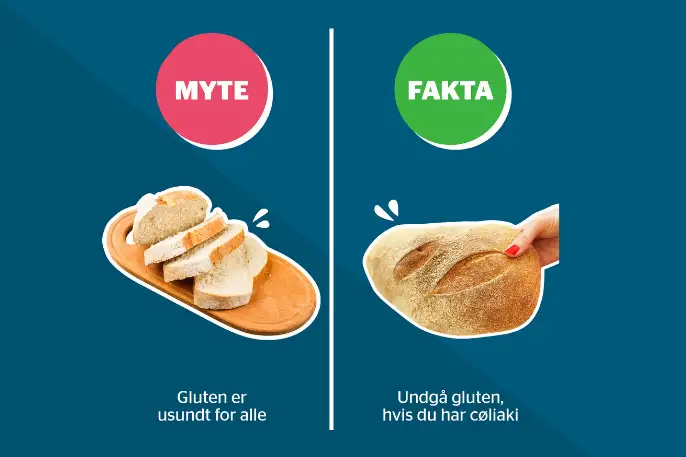 Gluten er usundt for alle = myte. Undgå gluten hvis du har cøliaki = fakta