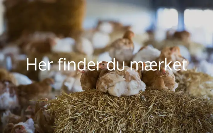 Her finder du dyrevelfærdsmærket