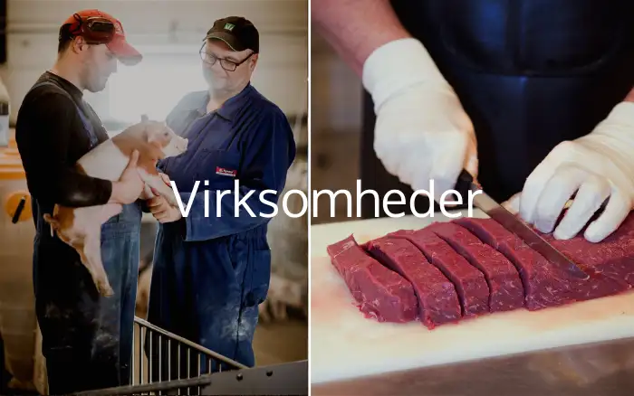 Virksomheder