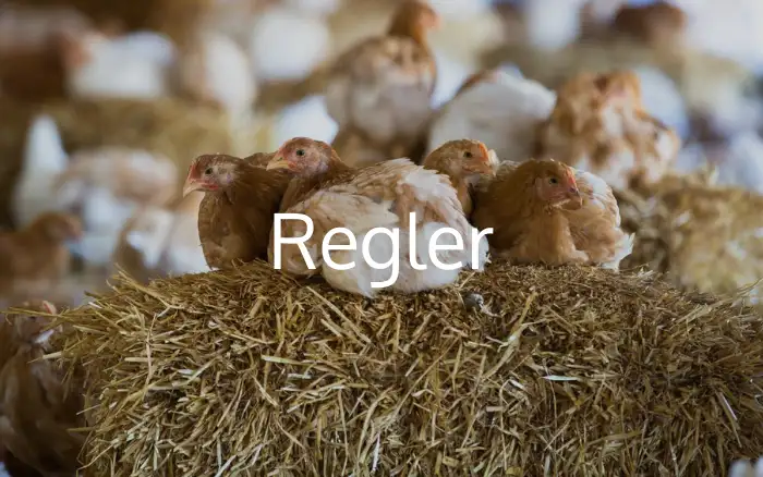 Regler