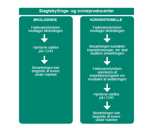 Tilmeldingsprocess for slagtekyllinge- og svineproducenter